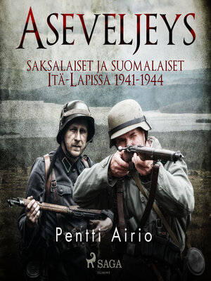 cover image of Aseveljeys